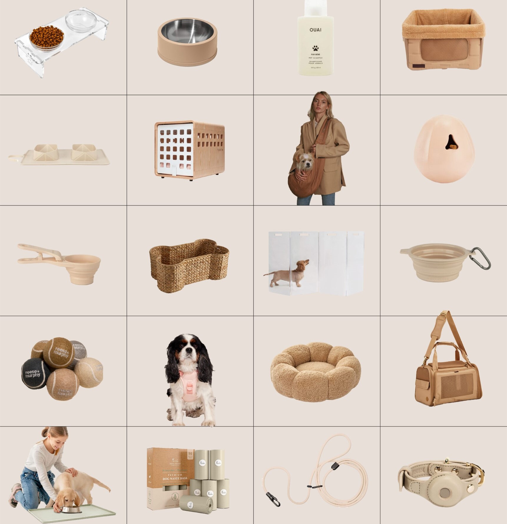 Pet Accessories